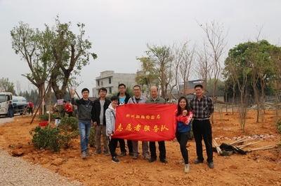 [广西]柳州船舶检验局开展义务植树活动:栽种树苗 播撒希望(图)